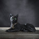 Pondre Witchy Black Cat