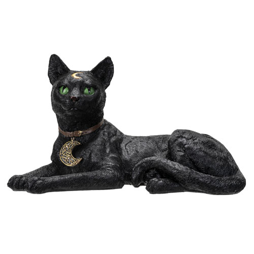 Laying Witchy Black Cat Laying Witchy Black Cat