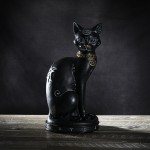 Chat noir sorcier assis