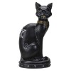 Sitting Witchy Black Cat Sitting Witchy Black Cat