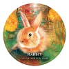 Creature Teacher Oracle Cards for Kids - Scott Alexander King Creature Teacher Oracle Cards for Kids - Scott Alexander King