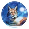 Creature Teacher Oracle Cards for Kids - Scott Alexander King Creature Teacher Oracle Cards for Kids - Scott Alexander King