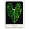 Gentle Chaos Pocket Oracle Deck - Gaca Tyler Gentle Chaos Pocket Oracle Deck - Gaca Tyler