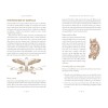 Crystal Shamanism - Rachelle Charman Crystal Shamanism - Rachelle Charman