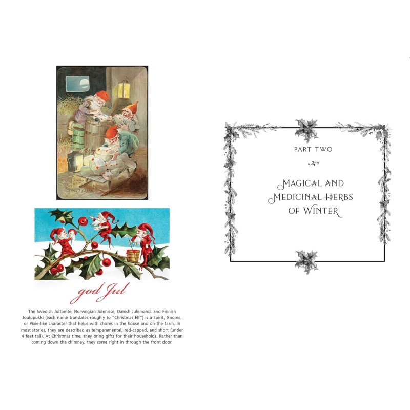 Sacred Herbs of Yule and Christmas - Ellen Evert Hopman Sacred Herbs of Yule and Christmas - Ellen Evert Hopman