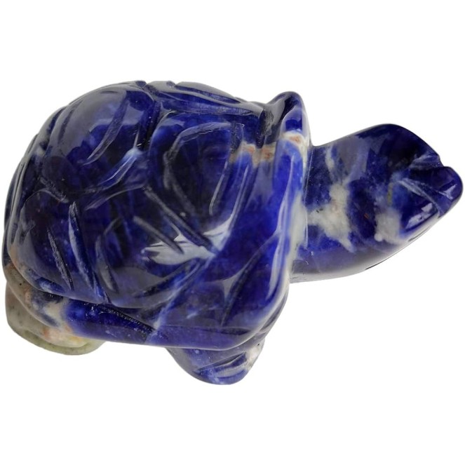 Tortue de sodalite Tortue de sodalite