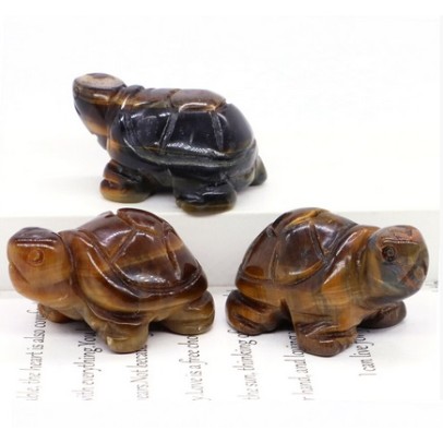 Tiger Eye Turtle Tiger Eye Turtle