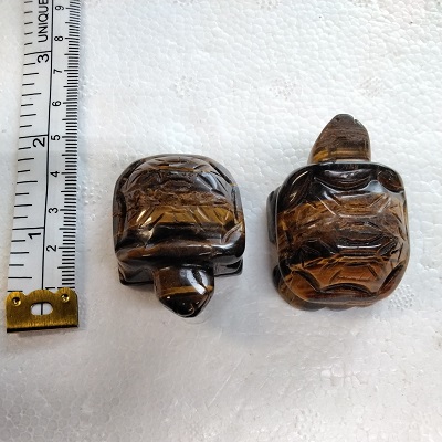 Tiger Eye Turtle Tiger Eye Turtle