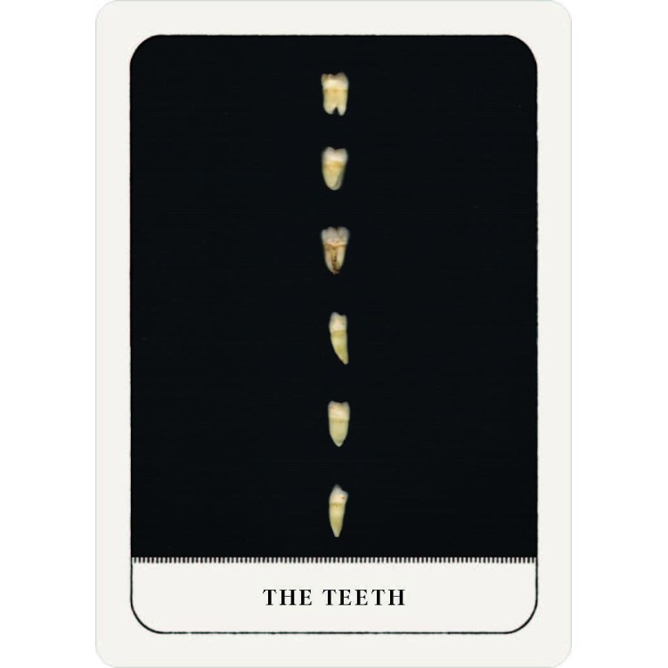Gentle Chaos Pocket Oracle Deck - Gaca Tyler Gentle Chaos Pocket Oracle Deck - Gaca Tyler