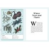 Herbana Witch - Cecilia - Guidi Lattari Herbana Witch - Cecilia - Guidi Lattari