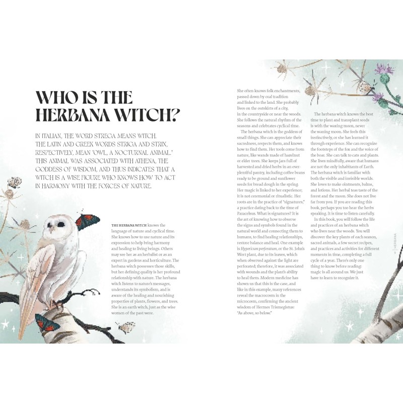 Herbana Witch - Cecilia - Guidi Lattari Herbana Witch - Cecilia - Guidi Lattari
