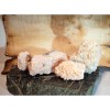 Dolomite Specimens, Light Pink