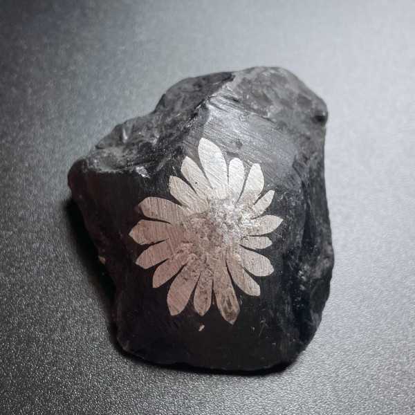 Chrysanthemum Stone Specimen B