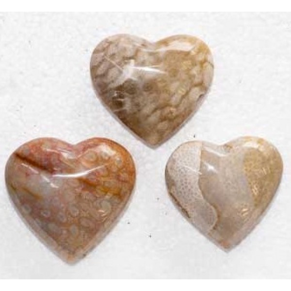 Fossil Coral Puffy Heart