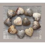 Fossil Coral Puffy Heart