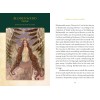 Déesse celtique, sorcières et reines Oracle - Forêt de Danu Déesse celtique, sorcières et reines Oracle - Forêt de Danu