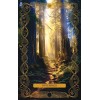 Ce que nous avons oublié Oracle Deck - Amy Miranda Ce que nous avons oublié Oracle Deck - Amy Miranda
