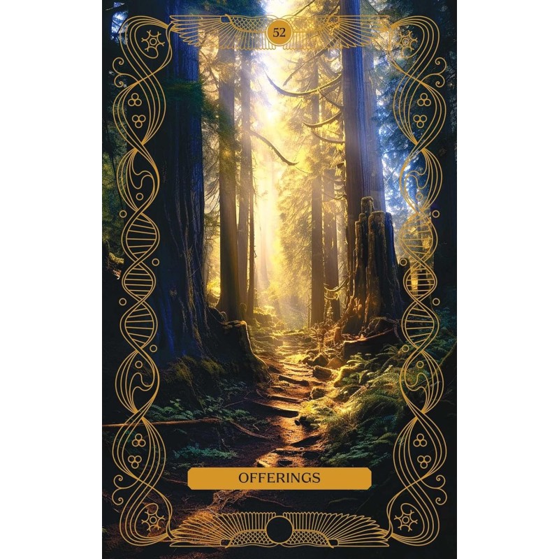 Ce que nous avons oublié Oracle Deck - Amy Miranda Ce que nous avons oublié Oracle Deck - Amy Miranda