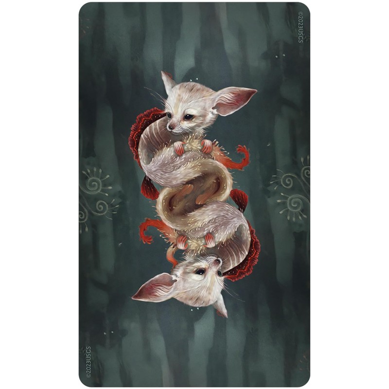 Deck Oracle de la sagesse des choses sauvages - Angi Sullins Deck Oracle de la sagesse des choses sauvages - Angi Sullins