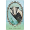 Wing, Hoof and Paw: An Animal Companion Oracle - Angi Sullins Wing, Hoof and Paw: An Animal Companion Oracle - Angi Sullins