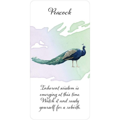 Divine Feather Messenger - Alison DeNicola Divine Feather Messenger - Alison DeNicola