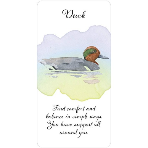 Divine Feather Messenger - Alison DeNicola Divine Feather Messenger - Alison DeNicola