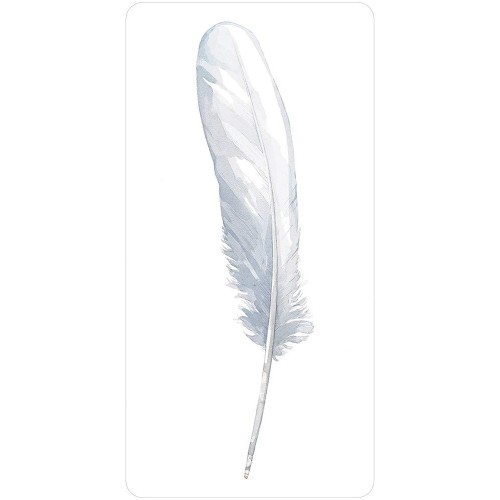Divine Feather Messenger - Alison DeNicola Divine Feather Messenger - Alison DeNicola