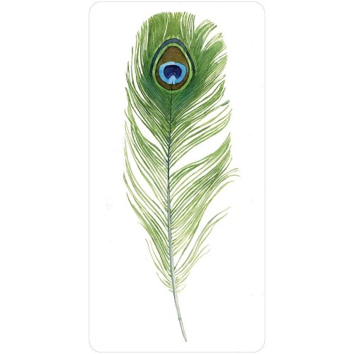 Divine Feather Messenger - Alison DeNicola Divine Feather Messenger - Alison DeNicola