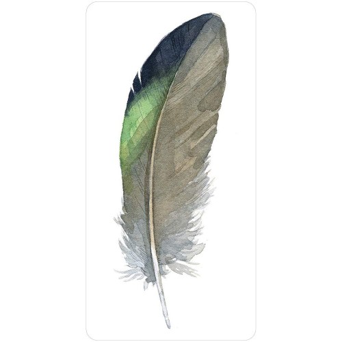 Divine Feather Messenger - Alison DeNicola Divine Feather Messenger - Alison DeNicola