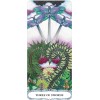Tarot of a Moon Garden Borderless Deck/Book Set Tarot of a Moon Garden Borderless Deck/Book Set