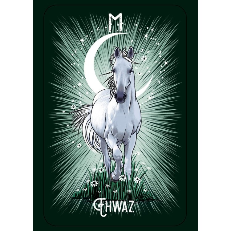 Witch's Familiar Runic Oracle - Athene Noctua Witch's Familiar Runic Oracle - Athene Noctua