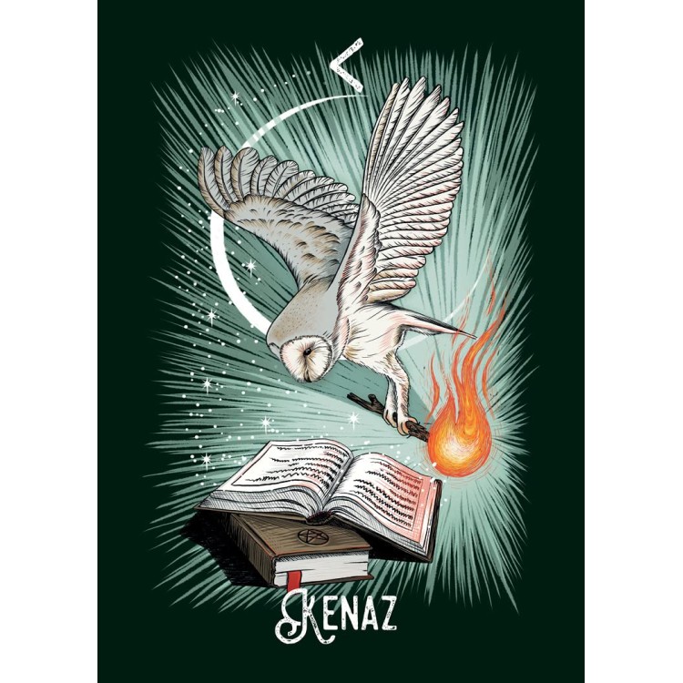Witch's Familiar Runic Oracle - Athene Noctua Witch's Familiar Runic Oracle - Athene Noctua