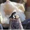 Bague Croissant de Lune, Sterling Bague Croissant de Lune, Sterling