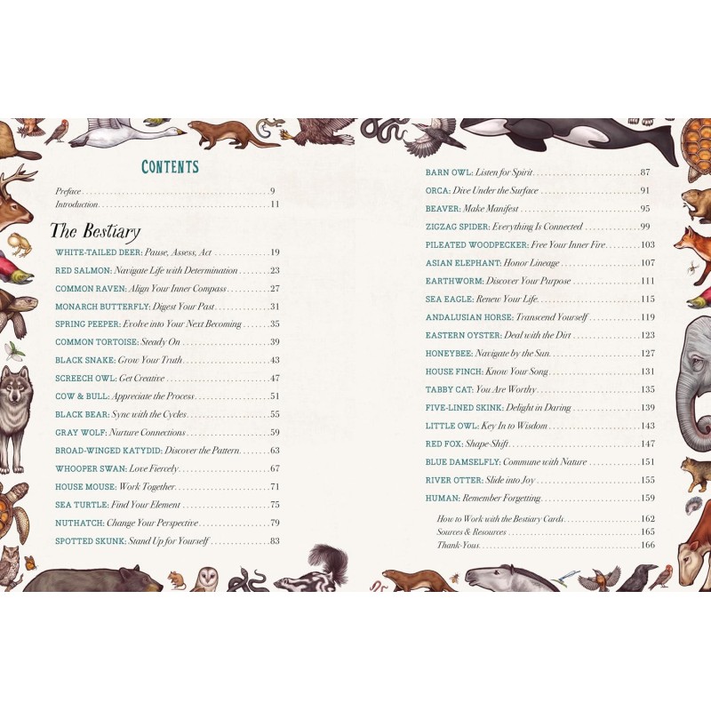 Illustrated Bestiary Book & Cards Illustrated Bestiary Book & Cards