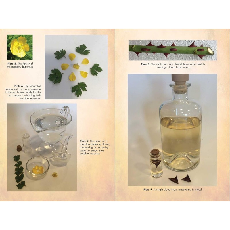 La magie des fleurs des druides - Jon G Hughes La magie des fleurs des druides - Jon G Hughes
