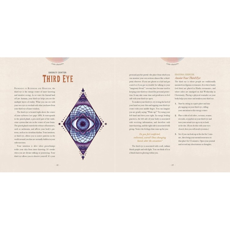 Compagnon de la sagesse sauvage (avec les cartes incluses) - Maia Toll Compagnon de la sagesse sauvage (avec les cartes incluses) - Maia Toll
