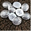 Dragon Wisdom Pocket Talismans Dragon Wisdom Pocket Talismans