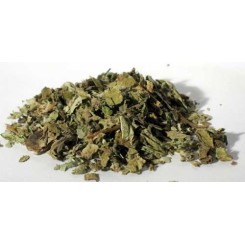 Herbe de tussilage, couper Herbe de tussilage, couper