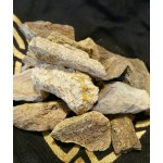 Dinosaur Bone ~ For Connection To Ancient Earth Energies