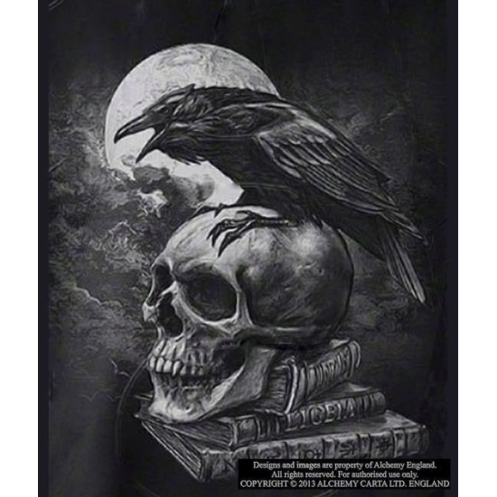 Poe's Raven T-Shirt Poe's Raven T-Shirt