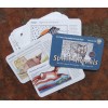 Spirit Animal Cards - Sue Lion Spirit Animal Cards - Sue Lion