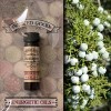 Wicked Good Oil: Juniper