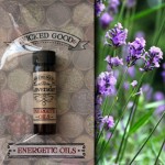 Wicked Good Oil: Lavender