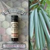 Wicked Good Oil: Vanilla Wicked Good Oil: Vanilla