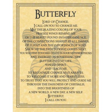 Affiche de l’autel : papillon Affiche de l’autel : papillon