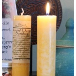 Blessed Herbal Candle - Needed Change/Banish