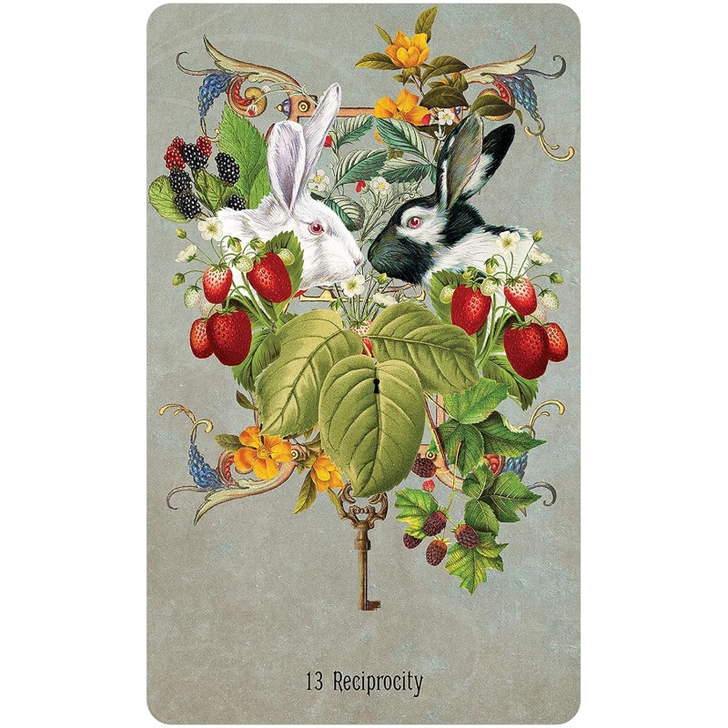 Unlocking the Secret Garden Oracle - Angie Sullins Unlocking the Secret Garden Oracle - Angie Sullins
