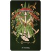 Unlocking the Secret Garden Oracle - Angie Sullins Unlocking the Secret Garden Oracle - Angie Sullins