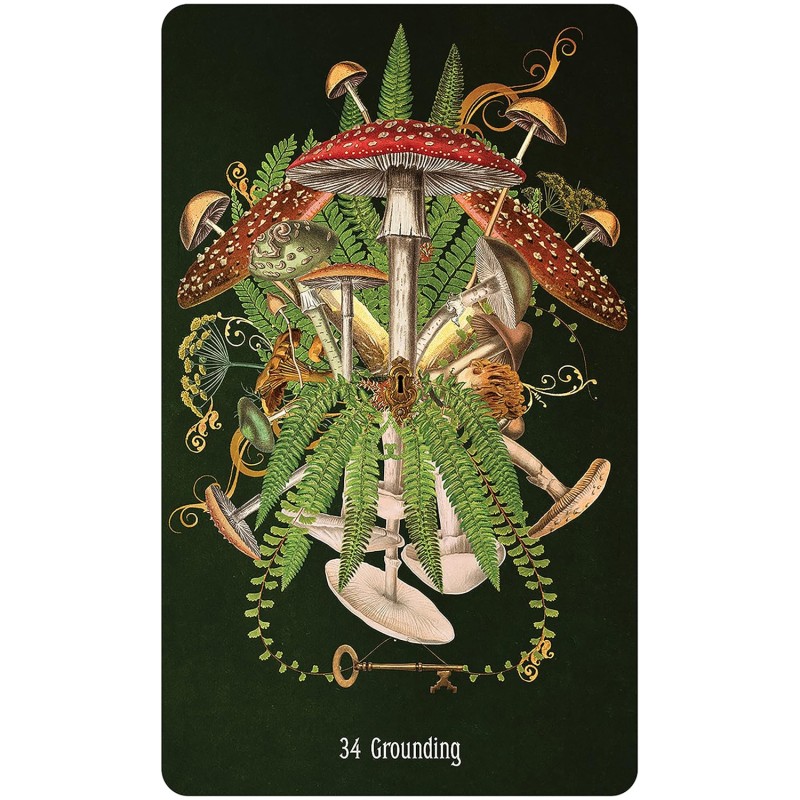 Unlocking the Secret Garden Oracle - Angie Sullins Unlocking the Secret Garden Oracle - Angie Sullins