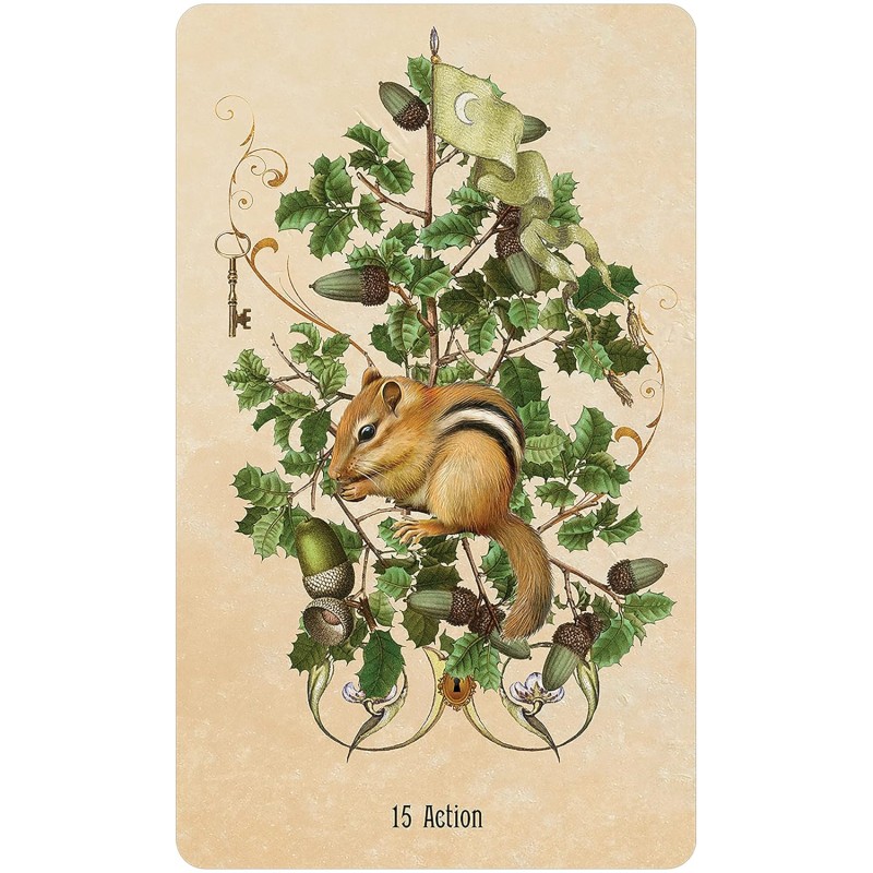 Unlocking the Secret Garden Oracle - Angie Sullins Unlocking the Secret Garden Oracle - Angie Sullins